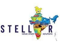 Stellar Value Chain Solutions